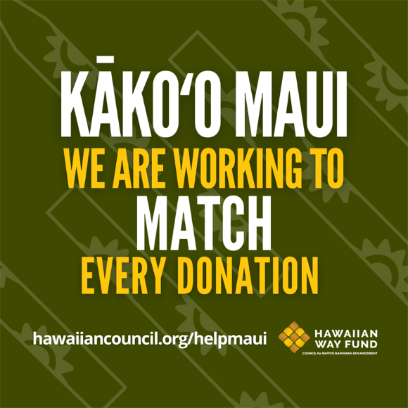 Hawaiian Way Fund